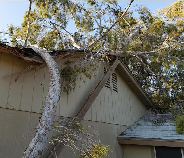 large downed tree laying on top of light brown house