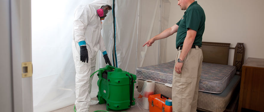 Flagstaff, AZ mold removal process